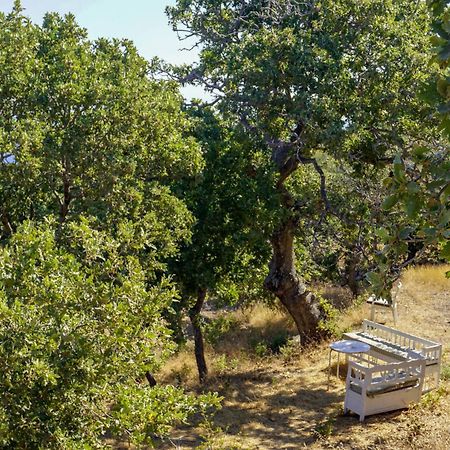 My Old Stone House In A 2 000 Sqm Private Garden With Fab Glamping Tent Mandrákion Exteriör bild