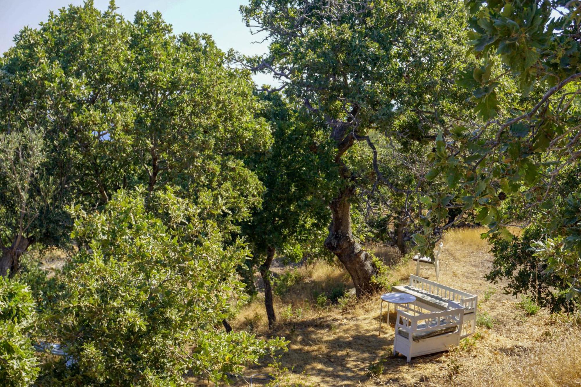My Old Stone House In A 2 000 Sqm Private Garden With Fab Glamping Tent Mandrákion Exteriör bild